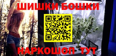 МДПВ Лесосибирск