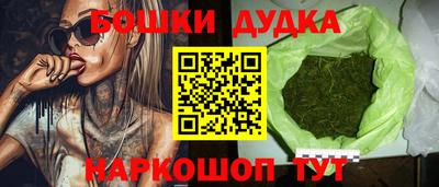 МДПВ Лесосибирск