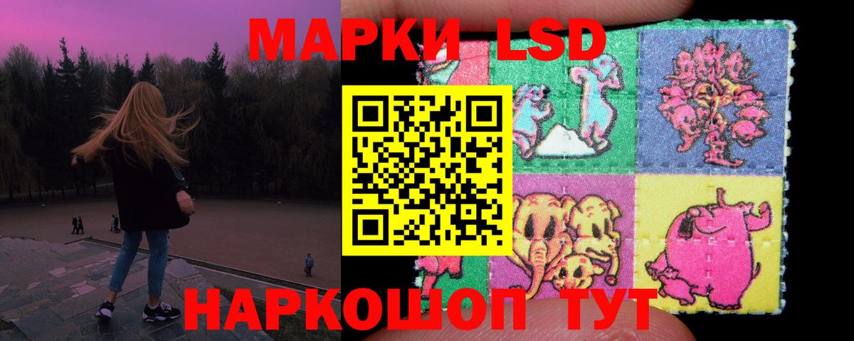 МЕГА   Лсд 25 экстази кислота  Вход с VPN  Волгодонск  Лсд 25 экстази кислота 
