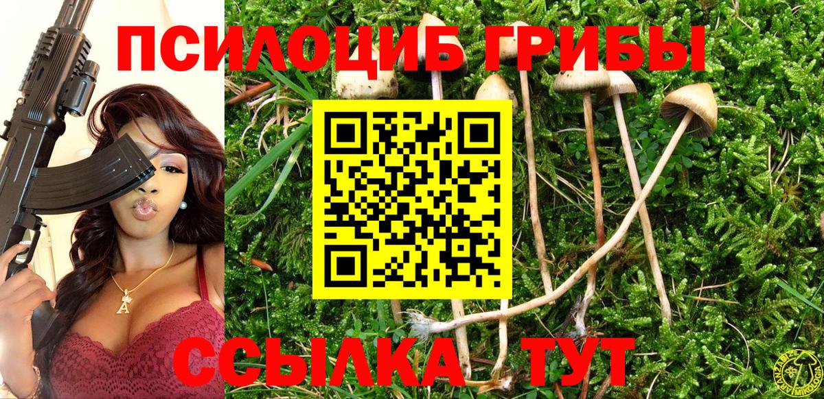 Волгодонск  Псилоцибиновые грибы GOLDEN TEACHER  Вход с VPN 