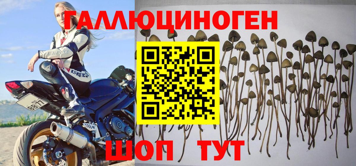 Псилоцибиновые грибы MAGIC MUSHROOMS Волгодонск